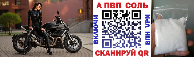 Альфа ПВП СК КРИС  Ковдор 
