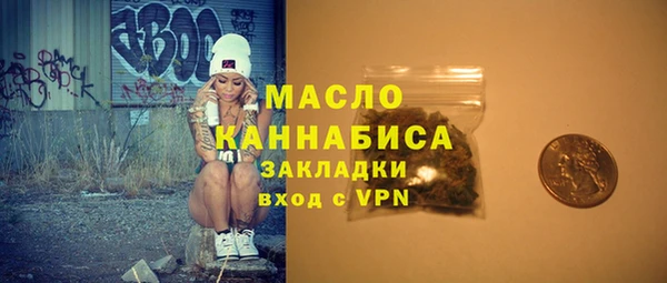 дживик Богородицк
