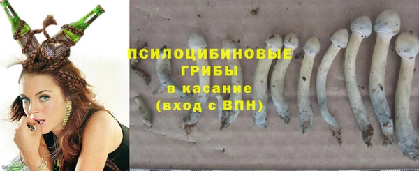 молекула духа Покровск