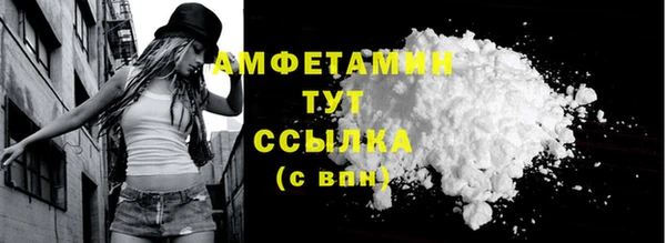 дживик Богородицк