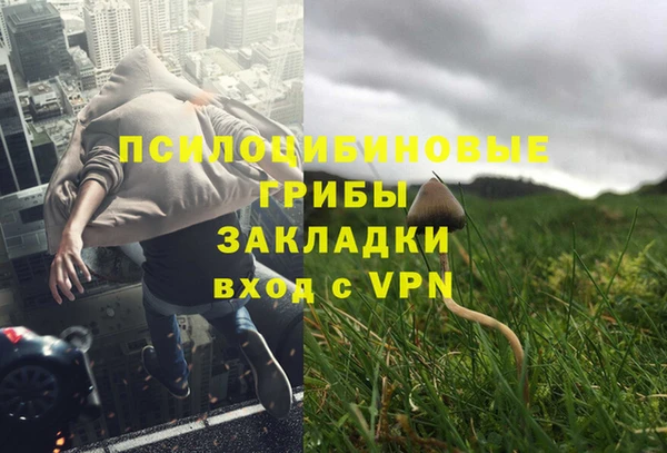 дживик Богородицк