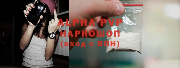 эйфоретик Пересвет