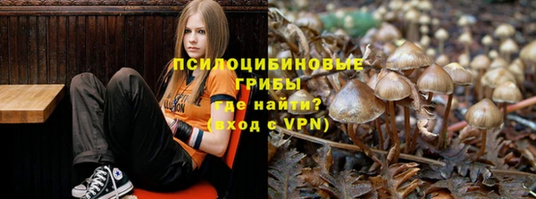 дживик Богородицк