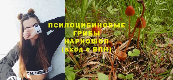 бутират Богданович