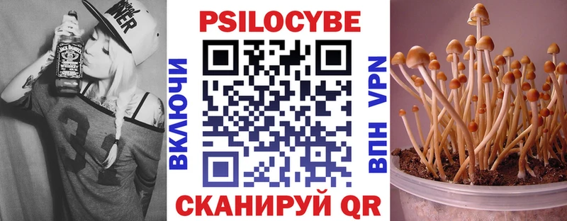 наркотики  shop формула  Галлюциногенные грибы Cubensis  Ковдор 